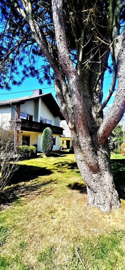 Ferienwohnung Landidylle Nassheck Dieblich Zewnętrze zdjęcie