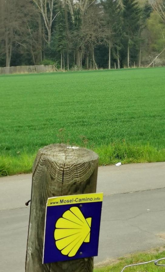 Ferienwohnung Landidylle Nassheck Dieblich Zewnętrze zdjęcie